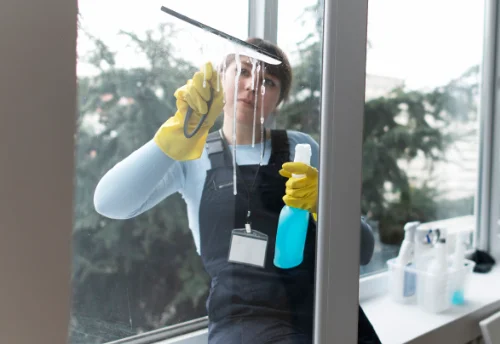 Nettoyage de vitres intérieures et extérieures à Cescau